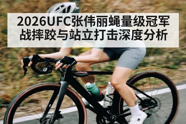 2026UFC张伟丽蝇量级冠军战摔跤与站立打击深度分析