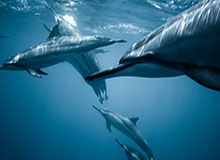 hth官网-记者手记：鲜衣怒马赴韶华——记U23男足晋级亚洲杯决赛